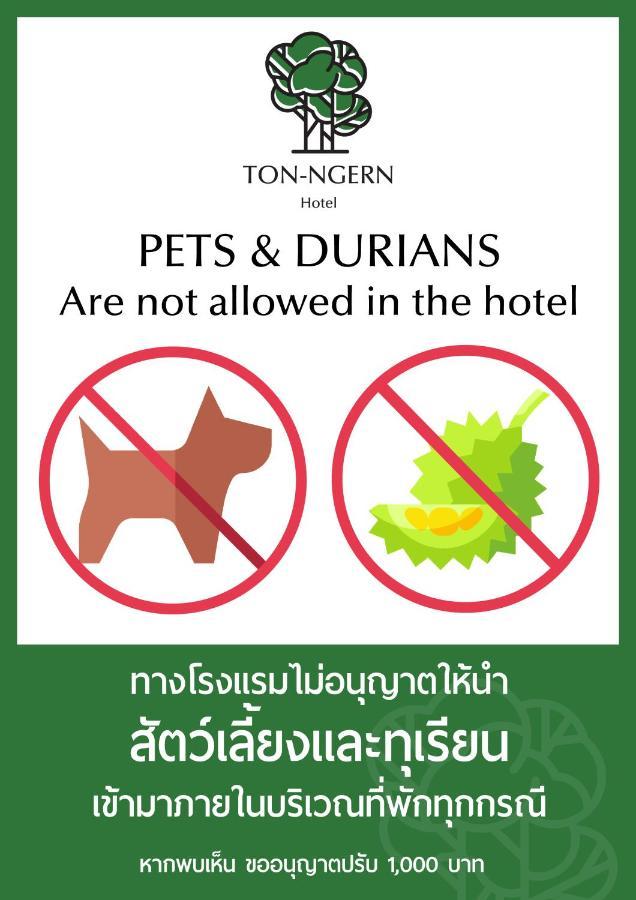 โรงแรมต้นเงิน كونكين المظهر الخارجي الصورة